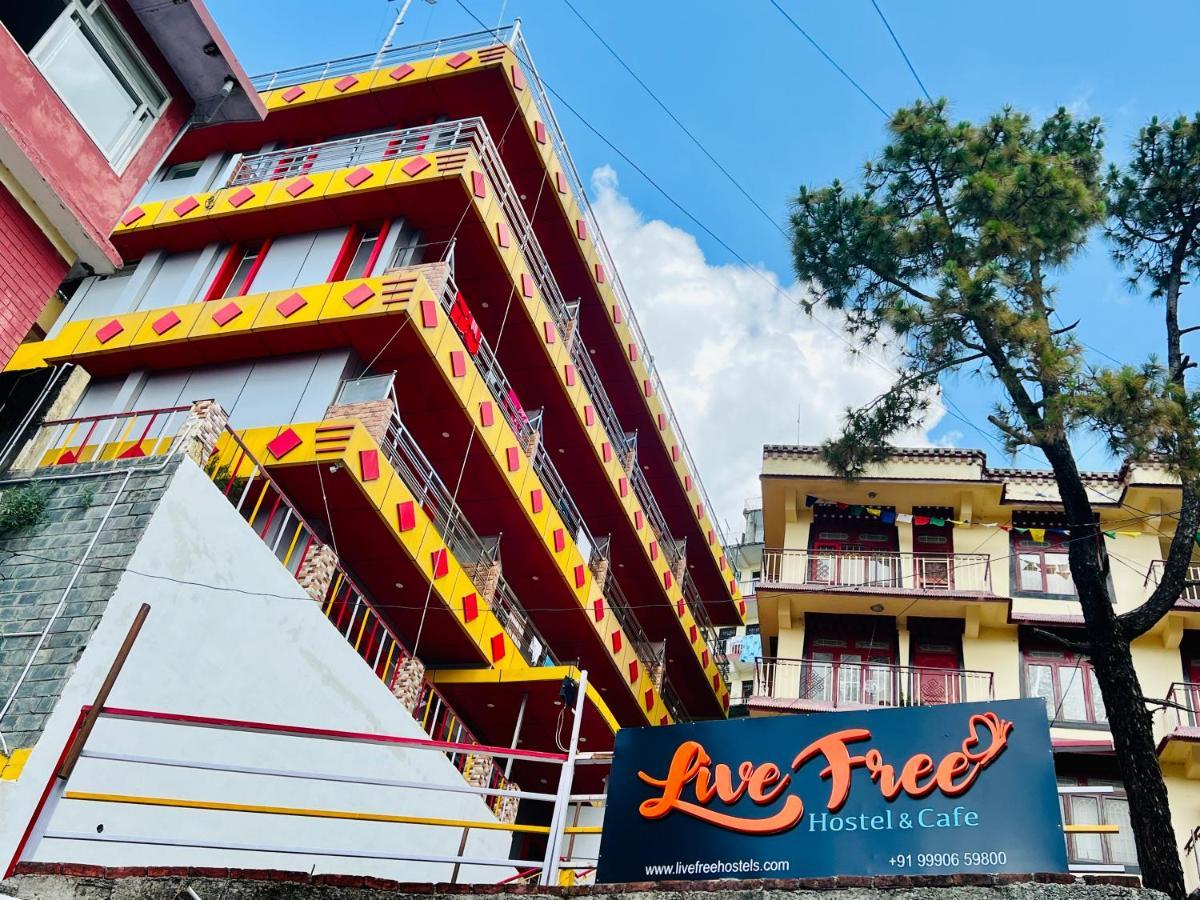 Live Free Hostel, Mcleodganj McLeod Ganj Exterior foto