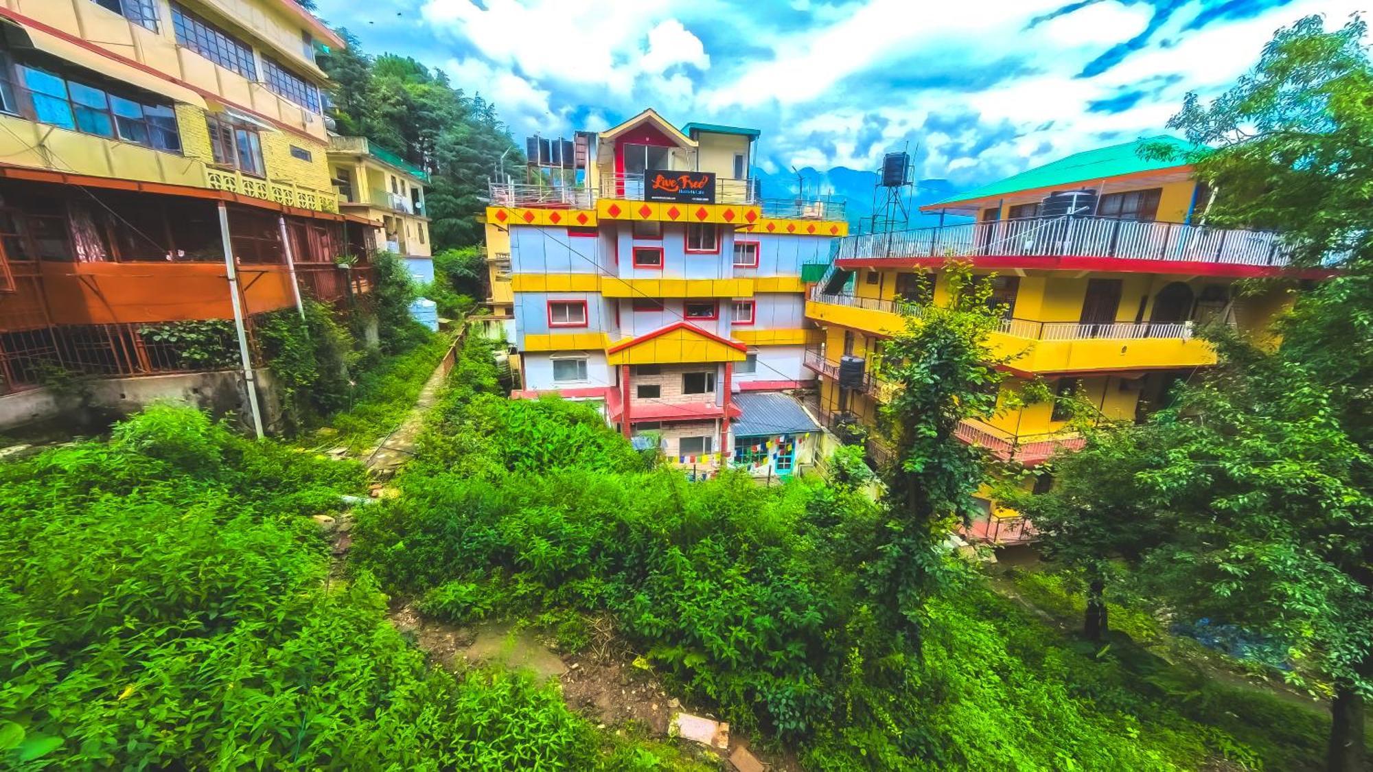 Live Free Hostel, Mcleodganj McLeod Ganj Exterior foto